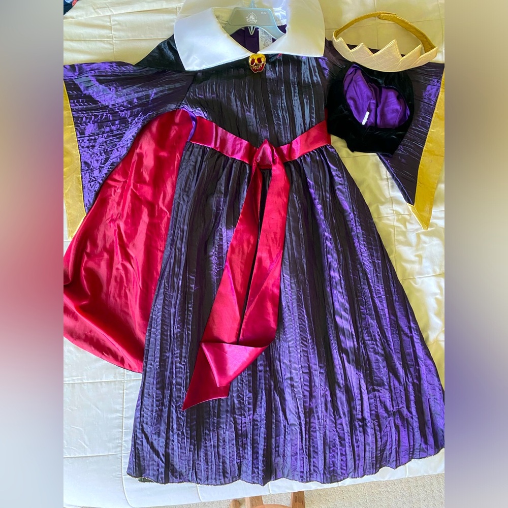 Disney Wicked Queen Costume